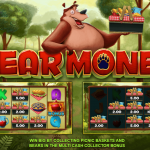 bear money